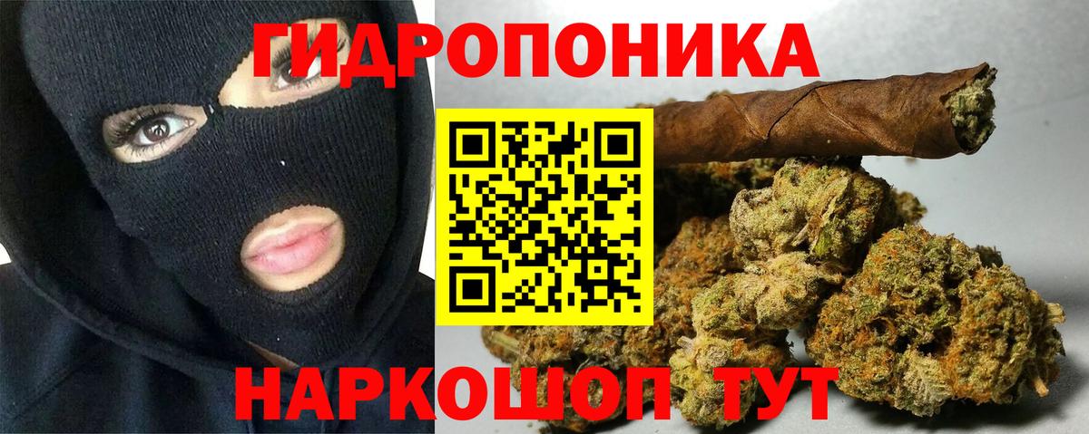 Конопля сатива  Шишки марихуана марихуана  Звенигород  Вход с VPN  МАРИХУАНА Bruce Banner 
